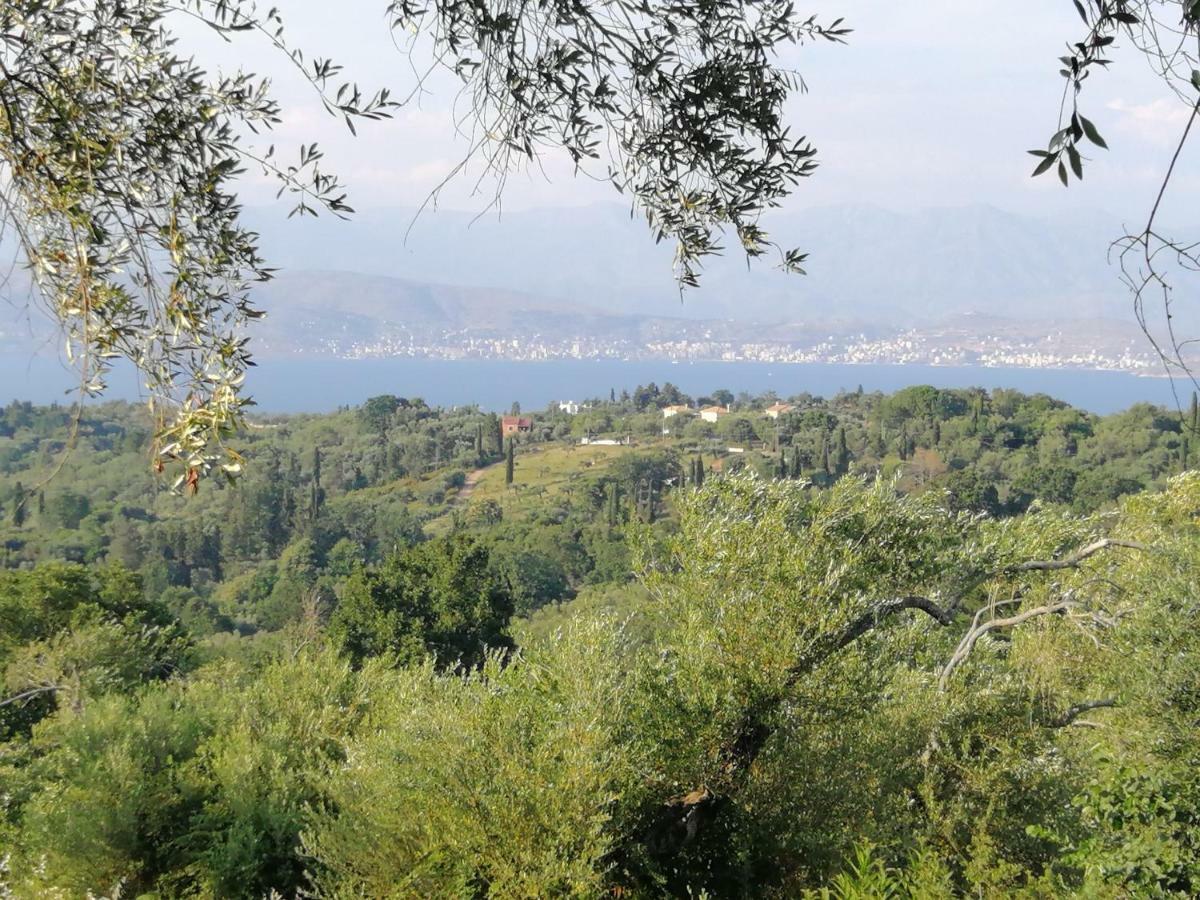 Olive Grove Deluxe Apartment Agnitsini Екстер'єр фото