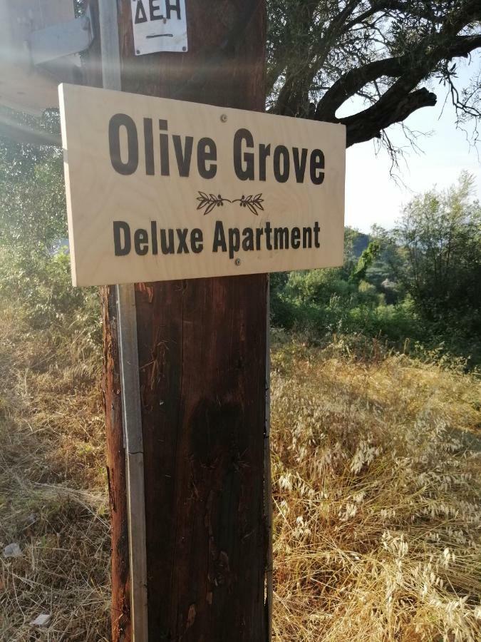 Olive Grove Deluxe Apartment Agnitsini Екстер'єр фото